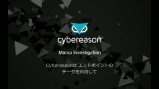 Cybereason デモビデオ － インシデント調査