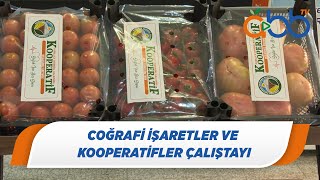 Coğrafi İşaretler ve Kooperatifler Çalıştayı