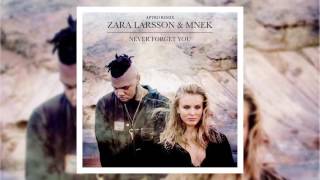 Zara Larsson, MNEK - Never Forget You (COVER)