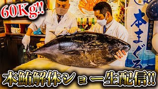 【祝チャンネル登録1万人】本マグロ解体ショー生配信!!