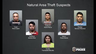 Eight suspects arrested in two related crime sprees