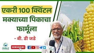 एकरी 100 क्विंटल मक्याच्या पिकाचा फार्मुला #maizecrop #jainirrigation #farming