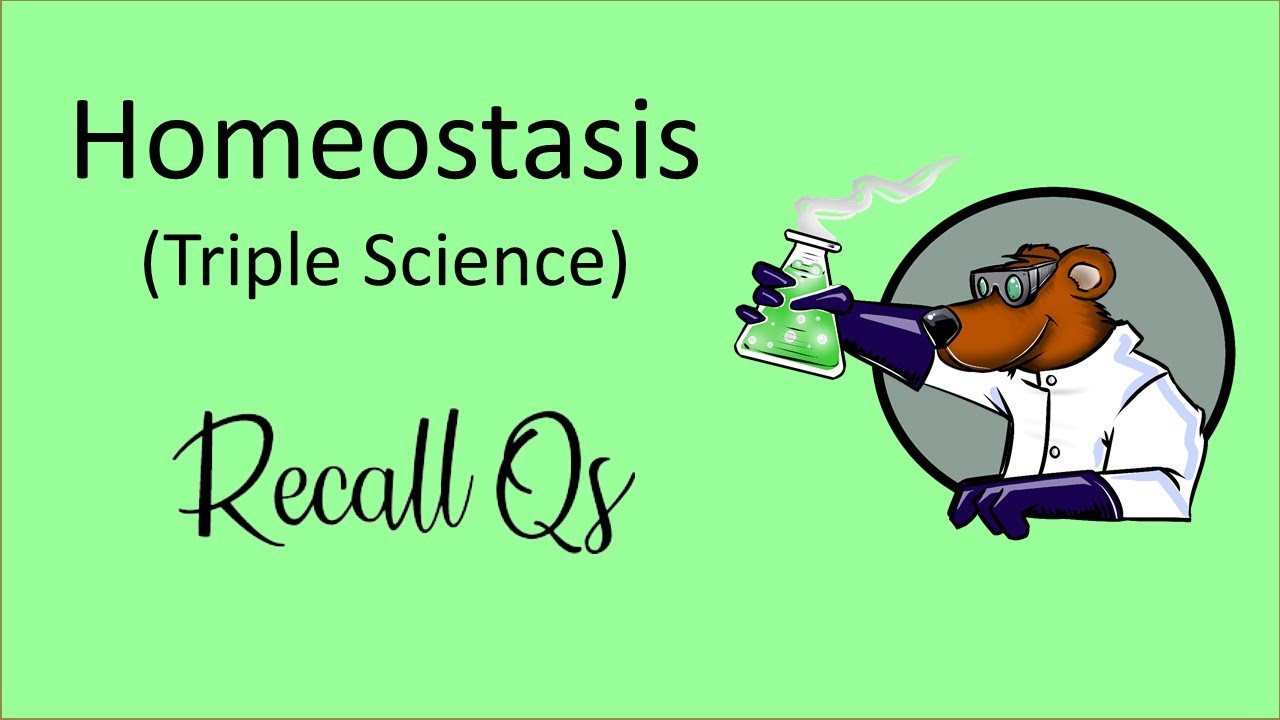 AQA GCSE Biology Unit 5 - Homeostasis And Response (TRIPLE) - Recall ...