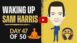 Waking Up A 47 -day Introduction To A Life-changing Practice #SoulfulSerenity #meditation #samharris