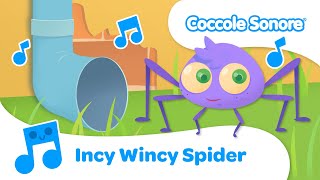 Incy Wincy Spider - Italian Songs for children by Coccole Sonore