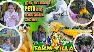 Farm Villa Chavakkad | ഇവിടം കിടിലനാണ് | Farm villa thrissur | Awesome place | #farmvilla #chavakkad