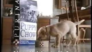 Purina Puppy Chow 90s Commercial (1999)