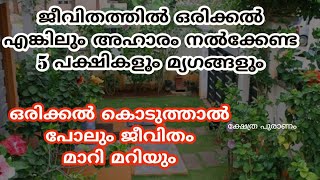 ഒരിക്കൽ കൊടുത്താൽ പോലും ജീവിതം മാറി മറിയും... jyothisham Malayalam.. astrology..kerala..