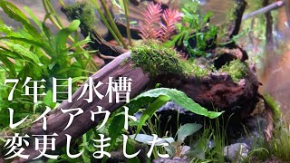 【aquarium】7年目水槽レイアウト変更しました。植え替え無し　流木、石、水草追加