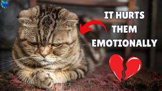 5 Things That EMOTIONALLY Hurt Your Cat 😿🐾