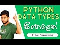 10. Data Types ගැන සිංහලෙන් | Python Programming | Sinhala