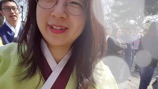 [변호사 VLOG]2017 남산 벚꽃맞이 봄나들이 브이로그 - Spring picnic at the mountain Namsan wt Cherry Blossom