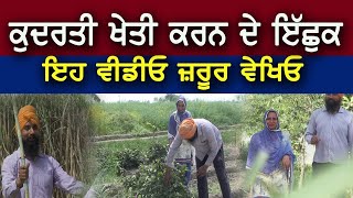 Punjab ਦੀ ਇਹ ਕਿਸਾਨ ਜੋੜੀ ਜੈਵਿਕ ਖੇਤੀ ‘ਚ ਬਣੀ ਮਿਸਾਲ | Health | Organic | Natural Farming |