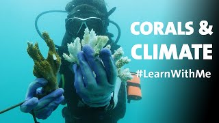 Corals and Climate Q&A #LearnWithMe