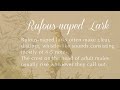 what sound does a rufous naped lark make