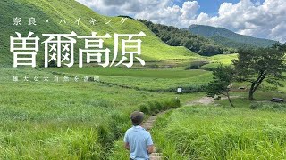 【奈良ハイキング】雄大な大自然曽爾高原を満喫してみた