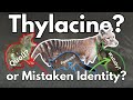 1 is Happenstance. 2x is Coincidence. 3x is Thylacine?  Or just confirmation Bias?