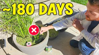 Not Feeding My Fish For 180 Days - WHY It's Important!