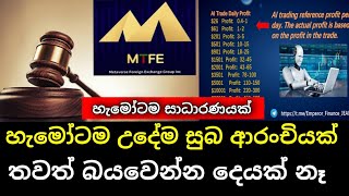 MTFE හැමෝටම උදේම සුභ ආරංචියක් | හැමෝම බලන්න | MTFE Update