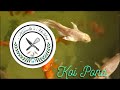 Aqua-scaping | My hobby | koi Fish | Koi pond