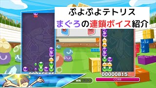 まぐろの連鎖ボイス(技名)を紹介【ぷよぷよテトリスS】