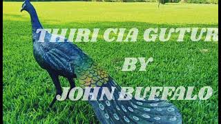 THIRI CIA GUTURA THE NEW SONG BY JOHN BUFFALO KE