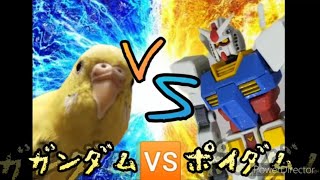 勇敢なインコがガンダムを倒した話 セキセイインコのポイちゃん （再編集）#インコ#ガンプラ