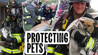 Protecting Pets: Pet Oxygen Masks
