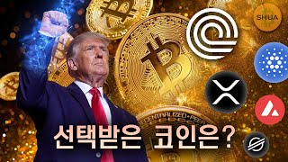 트럼프가 오늘 매수한 코인은? 온도 x 스텔라, 리플 XRP ETF 급물살, 아발란체 에이다 ETF 출시, 비트코인 준비자산 전진.