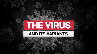Pfizer Vaccine Provides Less Immunity to Omicron Variant