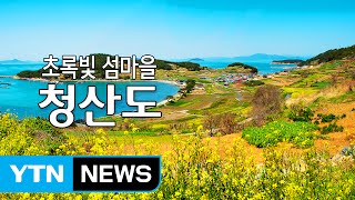 초록빛 섬마을 '청산도' / YTN (Yes! Top News)