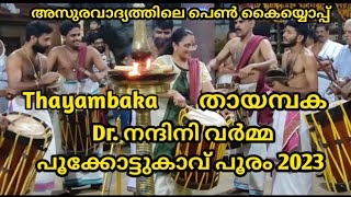 Thayambaka - Dr. Nandini Varma | An Awesome Melam Experience 🔥 #thayambaka  #appuzrocky #viralvideo