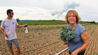 Running Irrigation Through 15,000 Onions