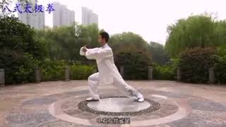 易鵬 八式太極拳(正背面教學)  Follow Master Yi Peng to learn 8 form Tai Chi (front and back view)