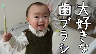 【1歳2ヶ月】歯ブラシを離さない1歳児 / Our baby doesn't want to let toothbrush go.