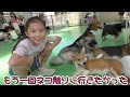 ★つくばわんわんランド★飼いたくなる...