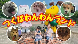 ★つくばわんわんランド★飼いたくなる...