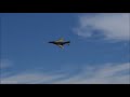 freewing f 4 phantom ii 90mm edf jet airshow style flight at warbirds over whatcom