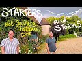 Not Quite a Chateau DIY 262 - Home Grown Starters - and Spectacular Storms