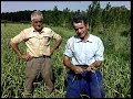 the garlics. planting cultivation winnowing and traditional braiding of this food in 1997