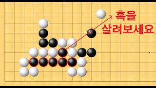 바둑 맥점 사활 - 기가막힌 묘수로 흑 6점을 살려보세요