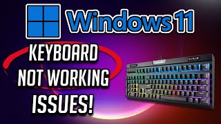 How to Fix Keyboard Not Working Issue in Windows 11 [EASY]