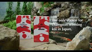 Mr. Kodama Koi Food Interview with James Rothwell