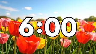6 Minute Spring Countdown Timer with Calming Music | Classroom Timer