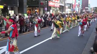 東京よさこい2016 ～ 越中舞人