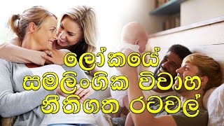 සමලිංගික විවාහ නීතිගත රටවල් / Countries where same-sex marriage is legal #shorts #viral