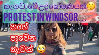 කැනඩාවේ උද්ඝෝෂණයක්/,Protest in Canada/ ගගක යාත්‍රා කරන විශාල නැවක් Nurse Greener Pasture.