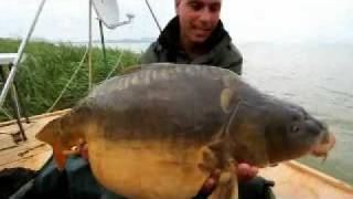 19.60 Kg Big Carp Fishing Balaton Kozma Tamás