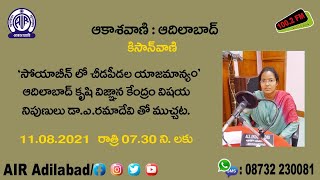 సోయాబీన్ లో చీడపీడల యాజమాన్యం || డా. ఎ.రమాదేవి