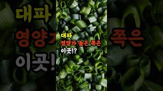 대파 영양가 높은 쪽은 이곳!? #건강정보 #건강지식